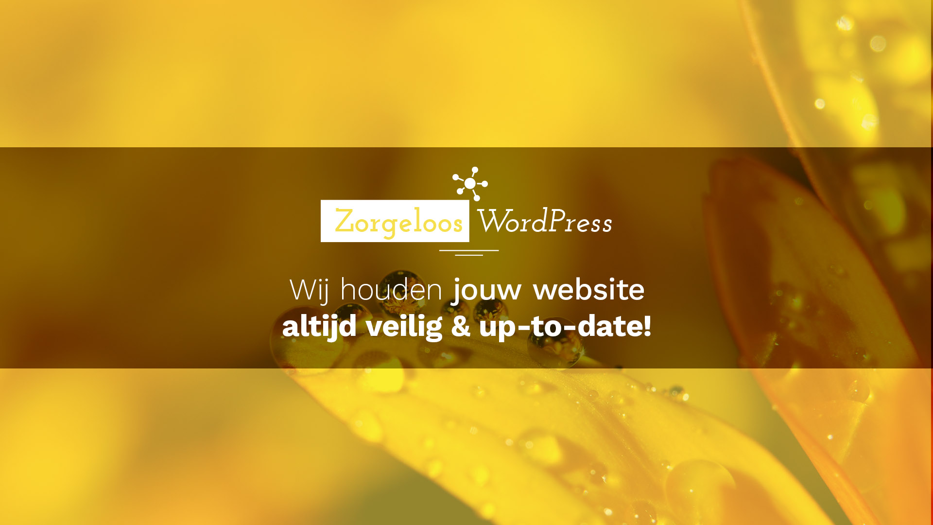 ZorgeloosWP website preview